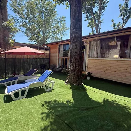 Luxury Beachfront Bungaloo In Kavatsi *